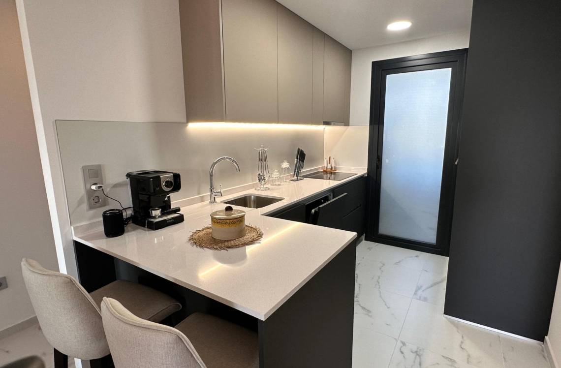 ALICANTE Playa de Poniente, ,  03502