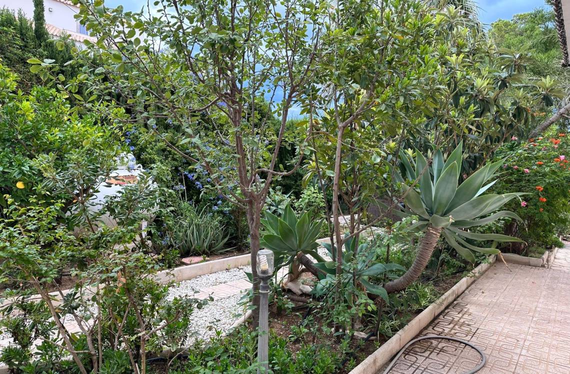 ALICANTE Bello horizonte, ,  03530