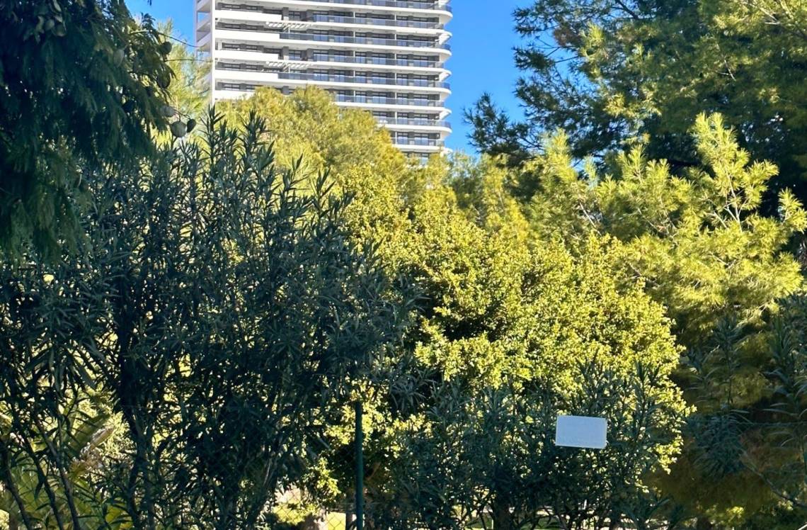 ALICANTE Playa de Poniente, ,  03502