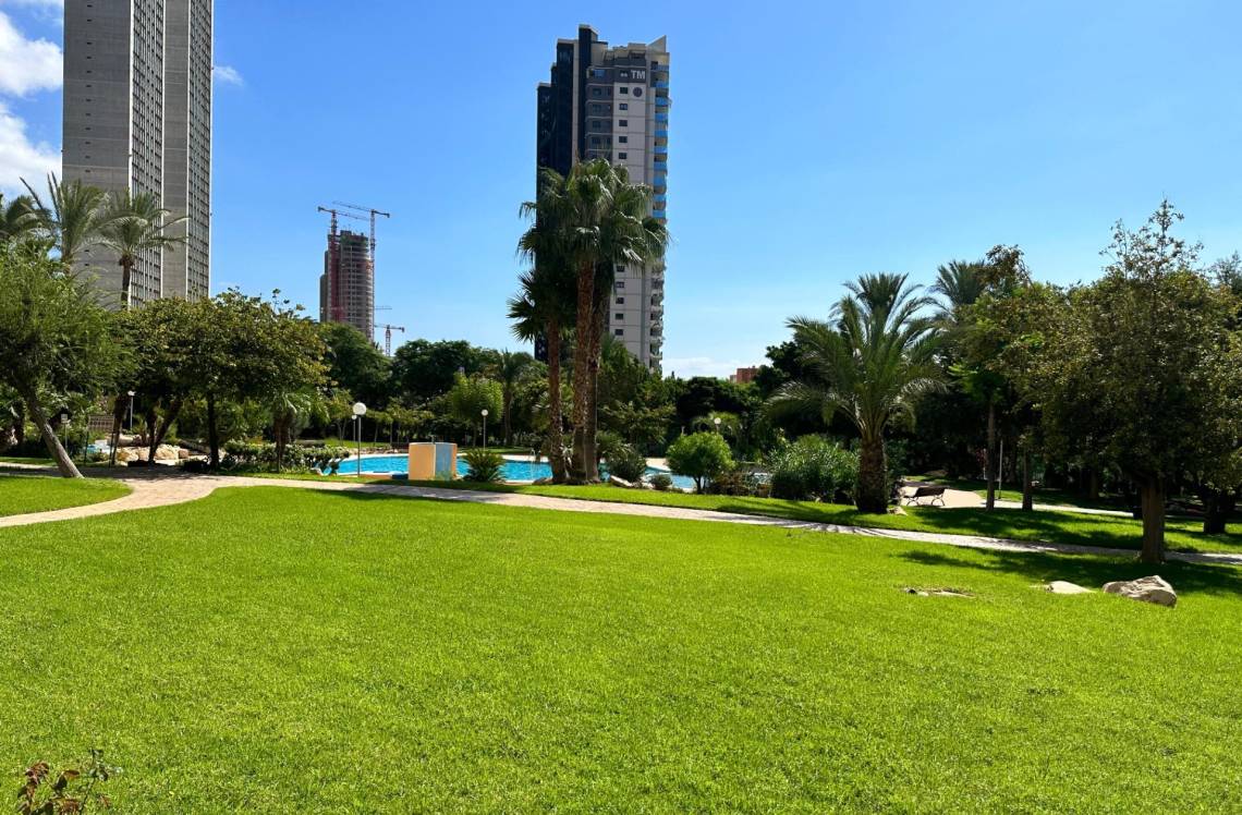 ALICANTE Poniente, ,  03502