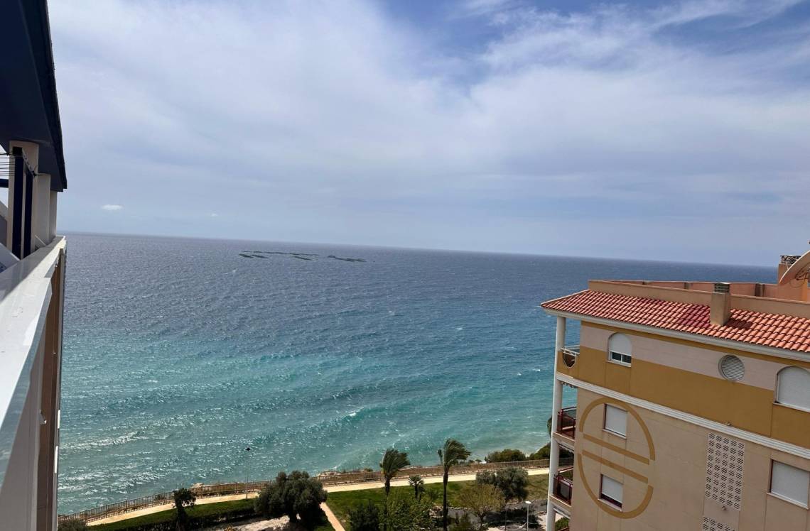 ALICANTE Playas Del Torres, ,  03570