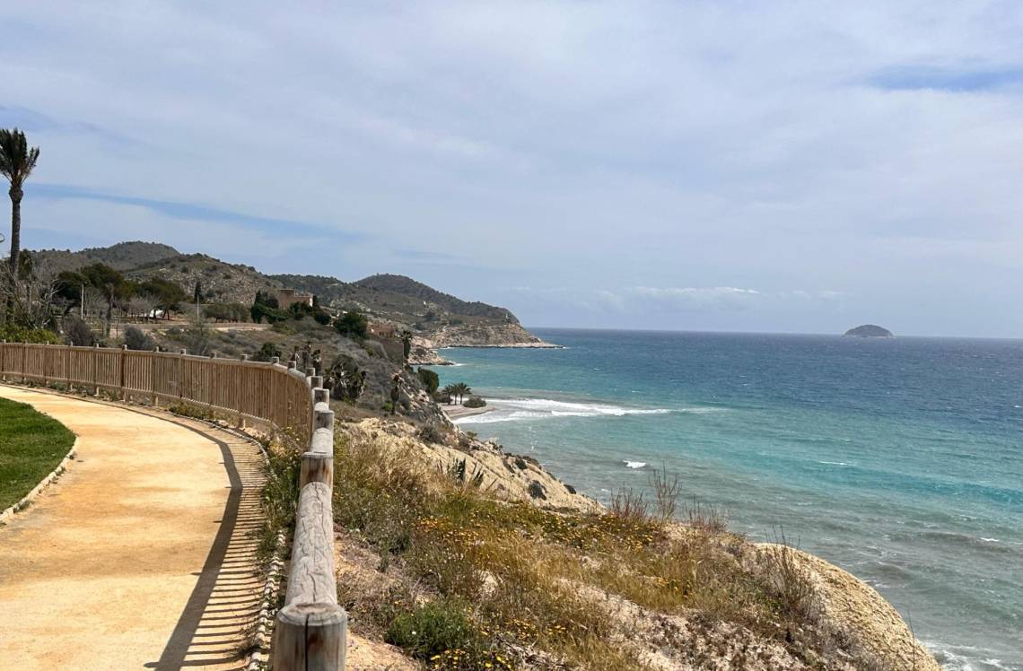 ALICANTE Playas Del Torres, ,  03570