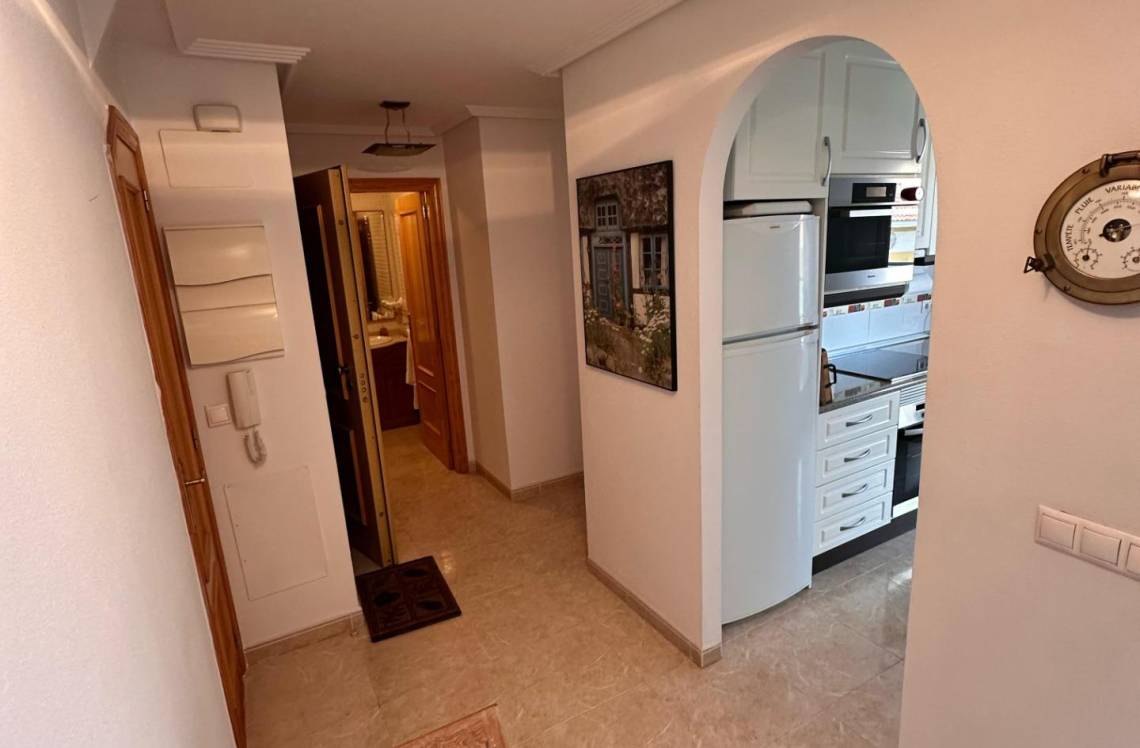 ALICANTE Playas Del Torres, ,  03570