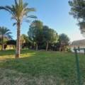 ALICANTE Camporrosso village, ,  03509