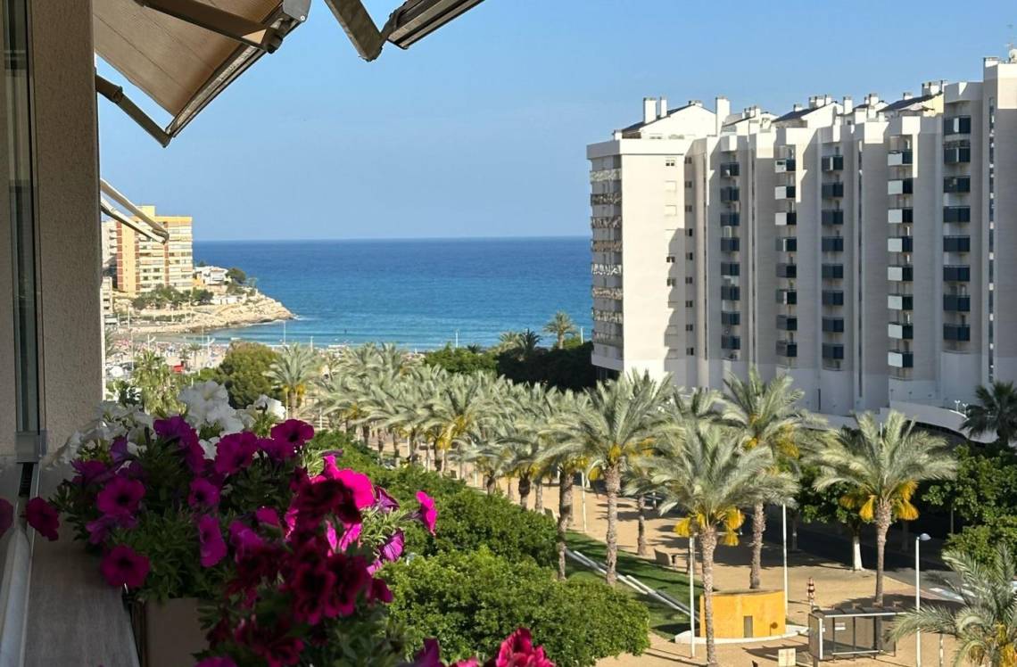 ALICANTE Cala de Villajoyosa, ,  03570